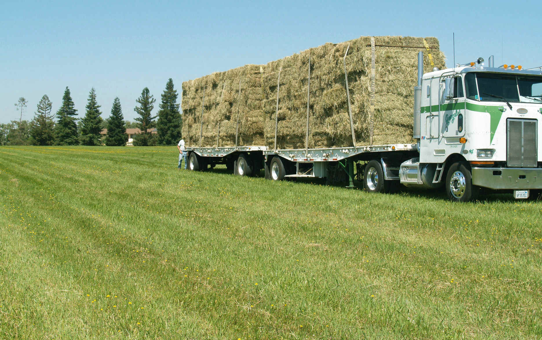 hay_truck.jpg (654431 bytes)